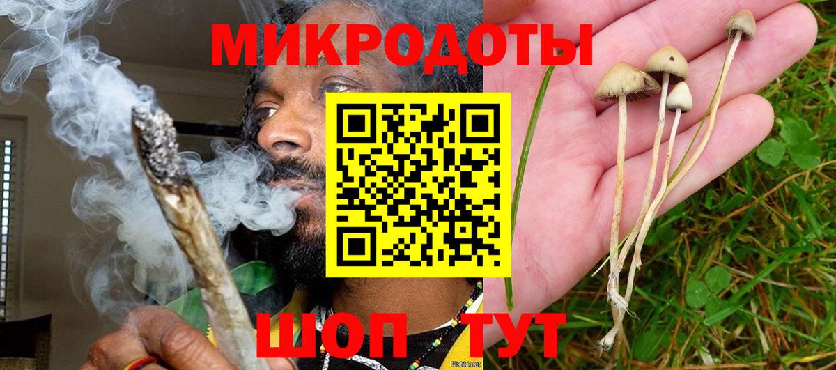 Строитель  Галлюциногенные грибы ЛСД  Псилоцибиновые грибы мицелий  Вход с VPN 